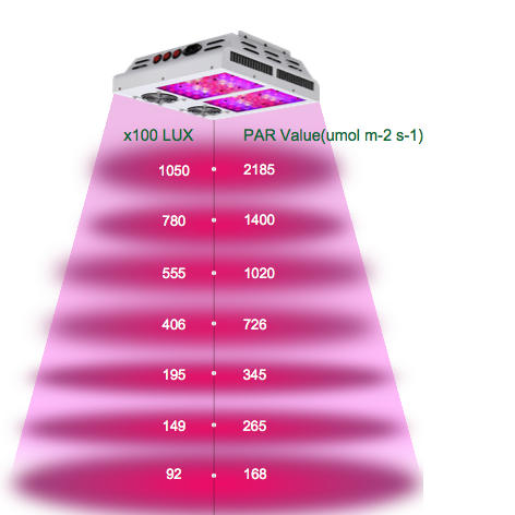 umol-sgl300